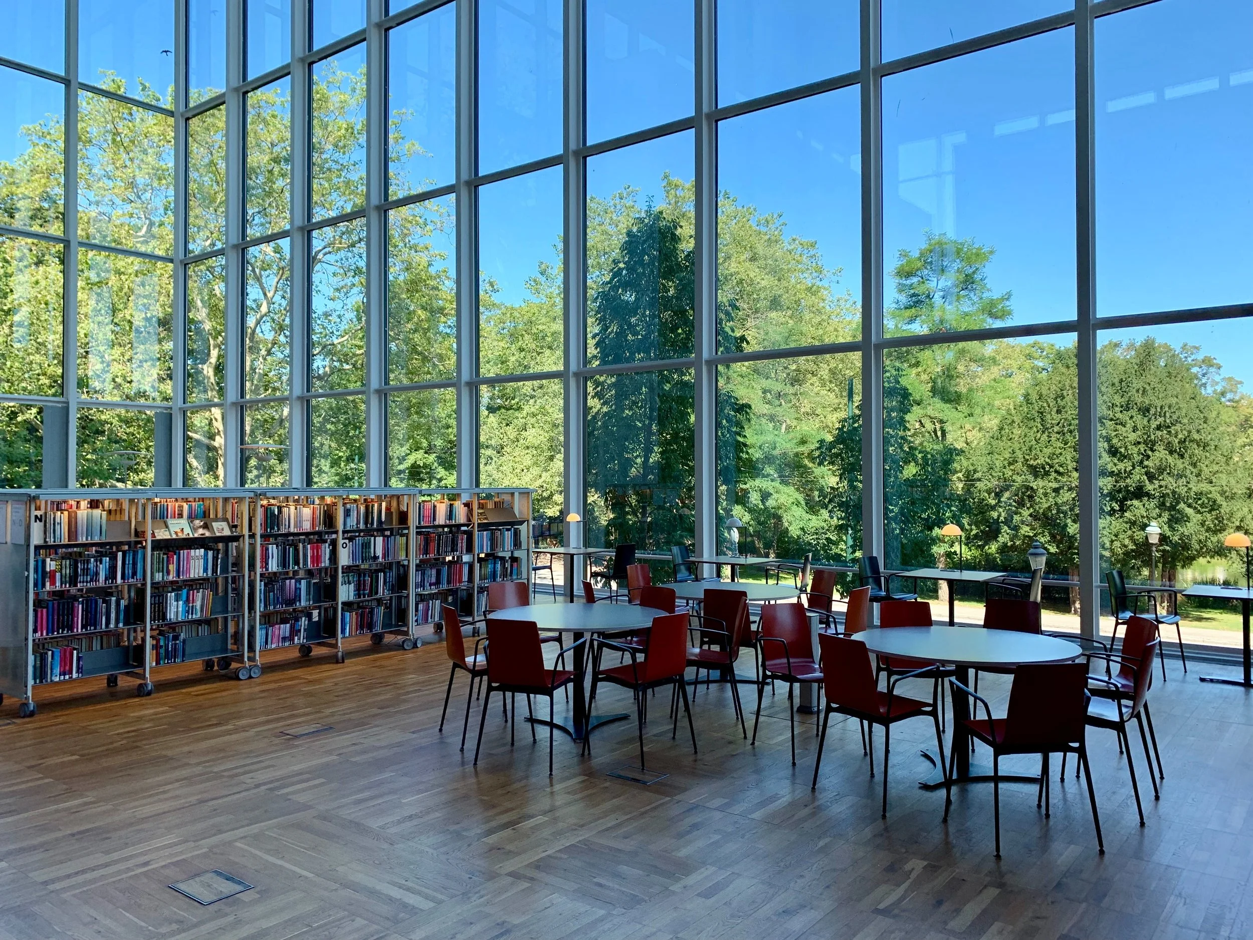 Billion Dollar EdTech Idea 5: Converting university libraries into learning gyms