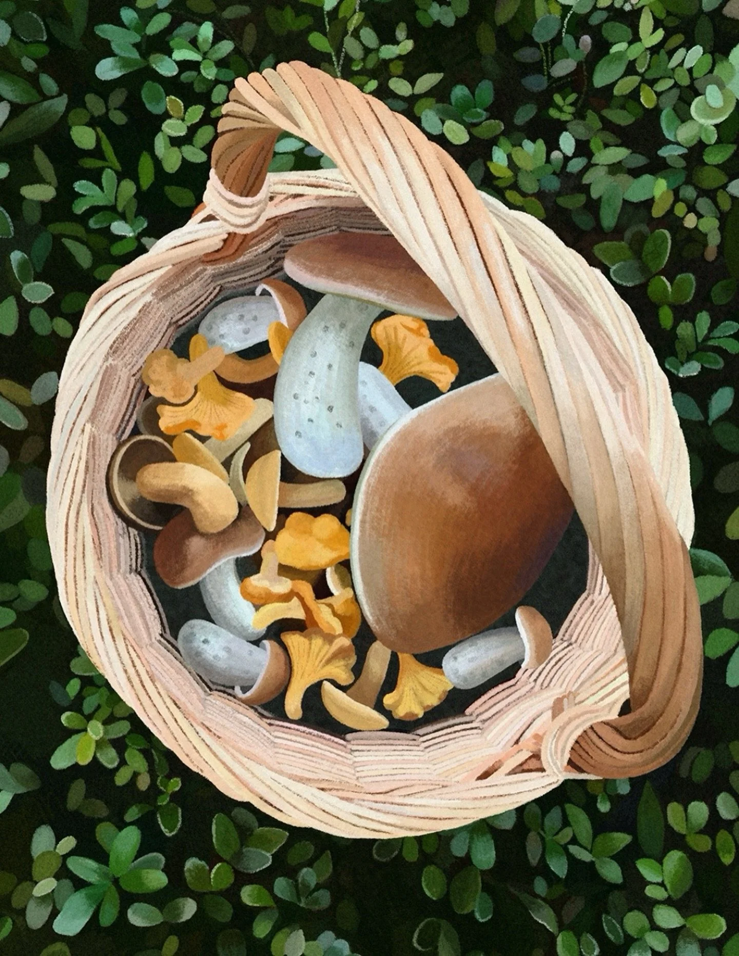 Mets&auml;retkelle l&auml;hden mielell&auml;ni, mutta sieniasiantuntijasta olen kaukana. Olen poiminut sieni&auml; vain muutaman kerran, ja joku muu on aina tarkistanut, ettei koriin eksy v&auml;&auml;ri&auml; valintoja. Kantarelli on varmaan ainoa, 