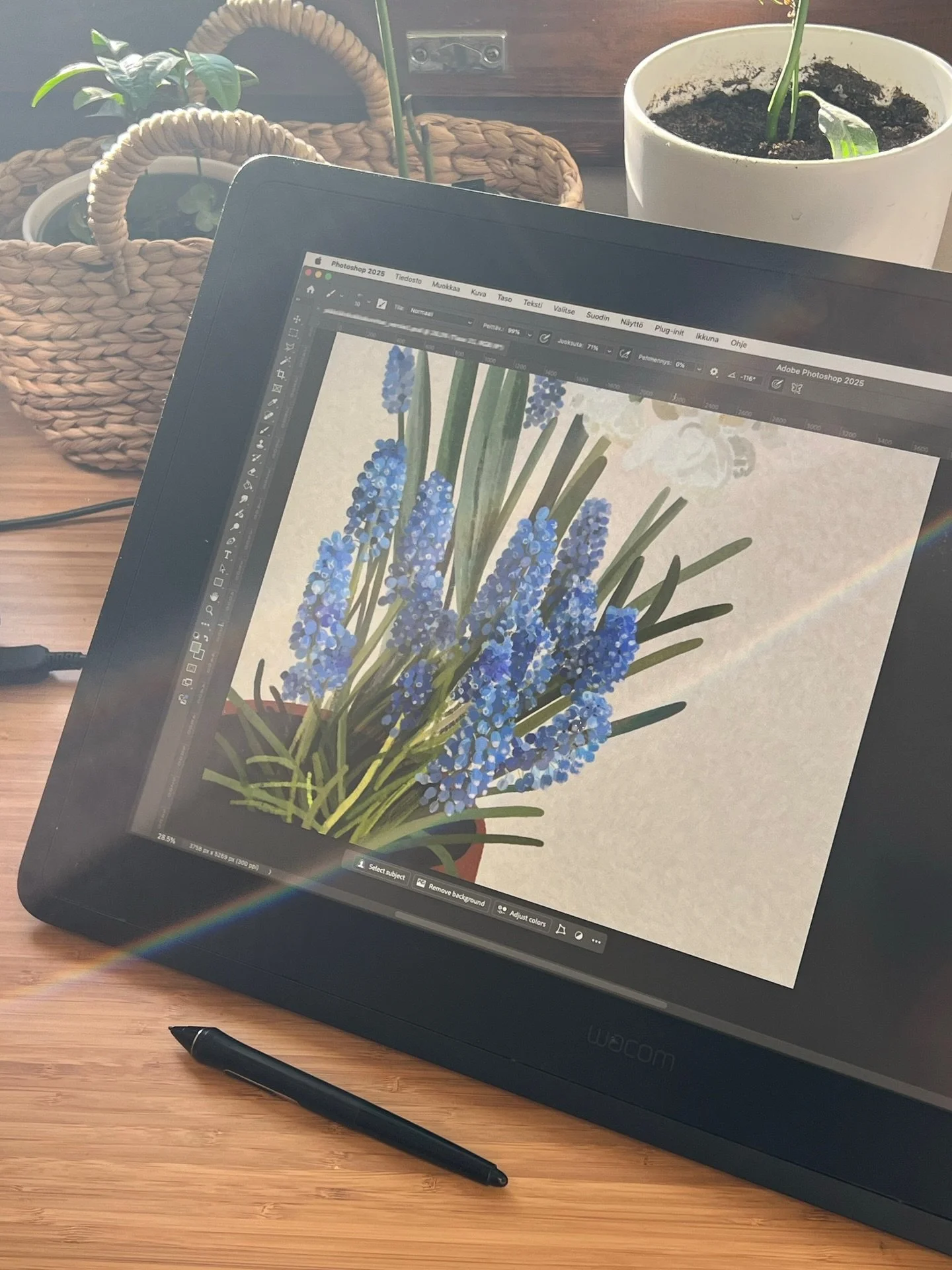 Ei haittaa vaikka ty&ouml;p&ouml;yd&auml;n &auml;&auml;ress&auml; h&auml;ik&auml;isee ☀️ 

(eik&auml; ole ilmeisesti liian likaiset ikkunatkaan siin&auml; tapauksessa 😅)

~

I don&rsquo;t mind the sun in my eyes while I&rsquo;m at my desk ☀️

(and I