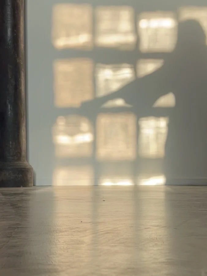 Tampereella, Finlaysonin alueella sijaitsevassa Galleria Himmelblaussa avautui reilu viikko sitten Tekstiilitaiteilijat TEXO ry:n juhlavuoden n&auml;yttely, jonka teemana on v&auml;ri. Hallituksen j&auml;senen&auml; olin mukana avajaisj&auml;rjestely