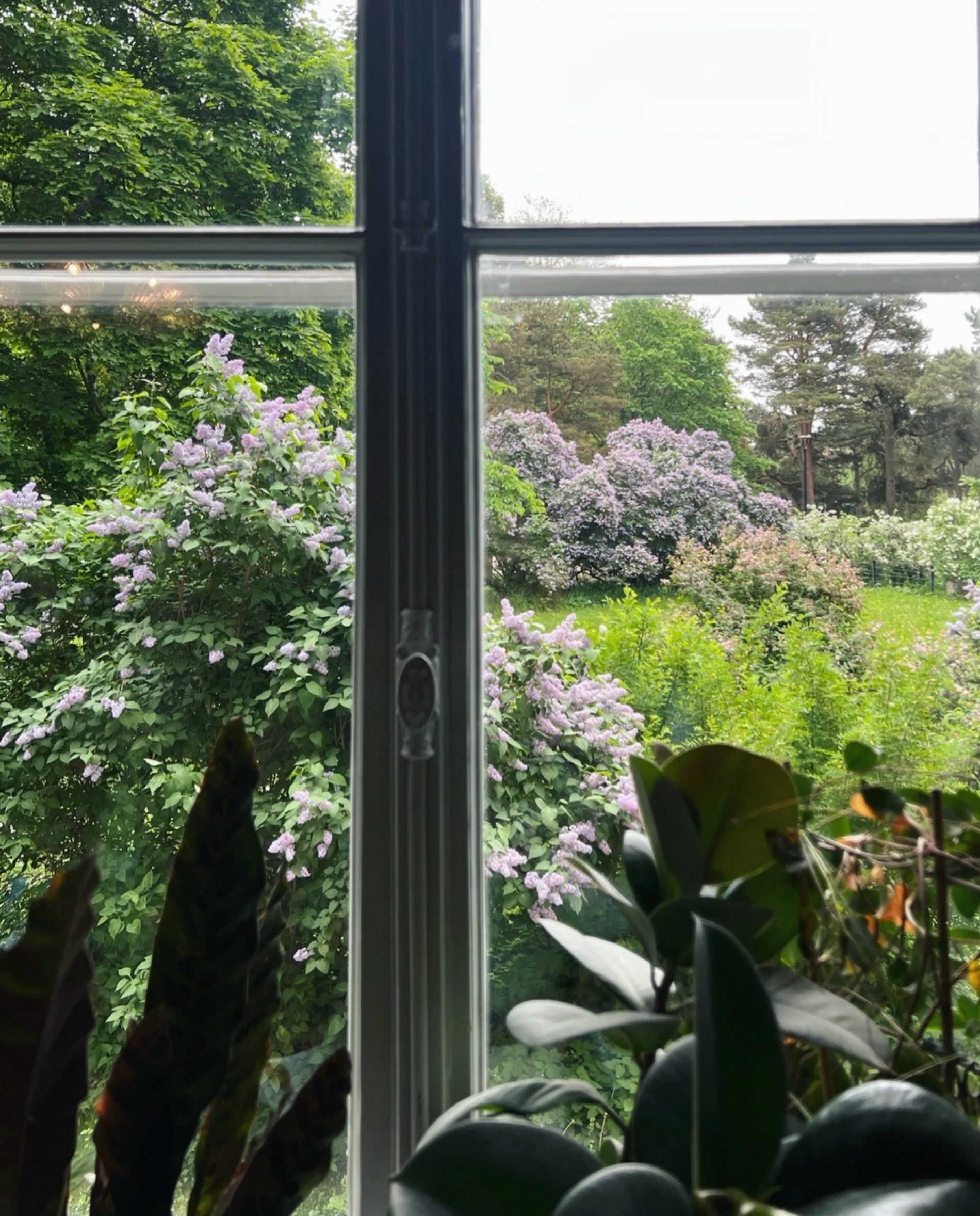 Kuvia kukista, kaupungilta ja kokouspaikasta 🌸

~

Photos of flowers, city views, and the location of today&rsquo;s meeting 🌸

#prettylittlethings #myhelsinki