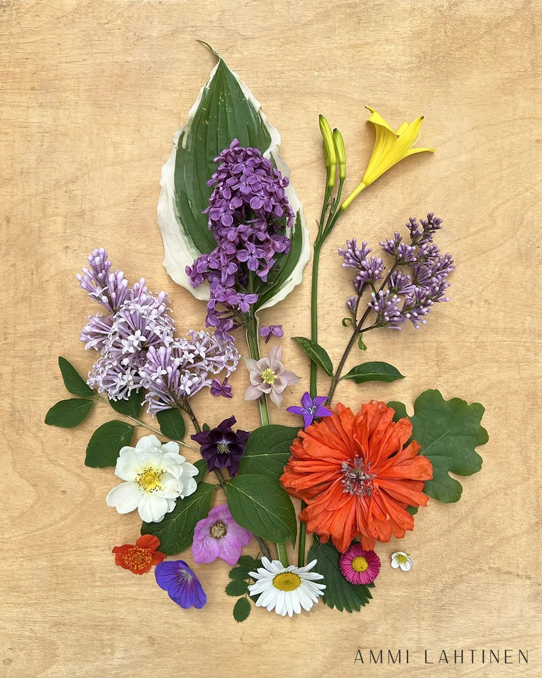 Sesongin Aarteet: Kesän kollaasista kuosiksi