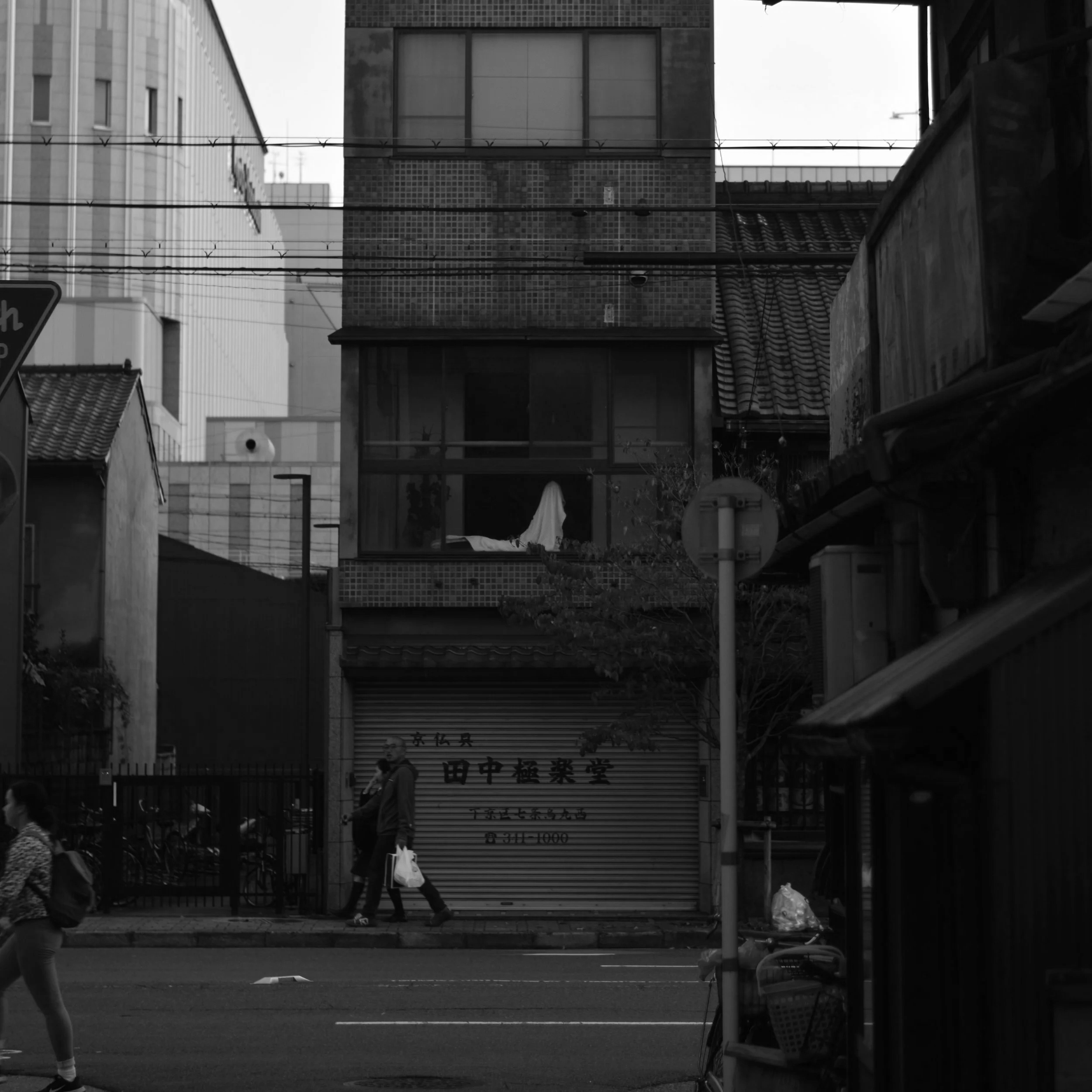 DSC_2533.png