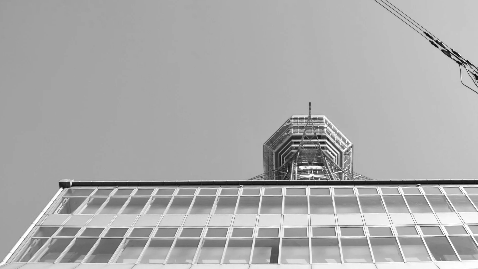 DSC_2142.png