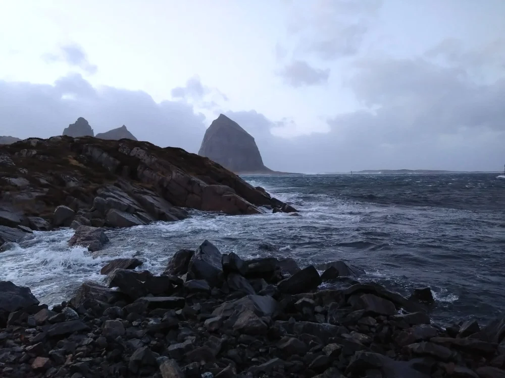 WhatsApp Image 2024-01-29 at 16.00.47.jpeg