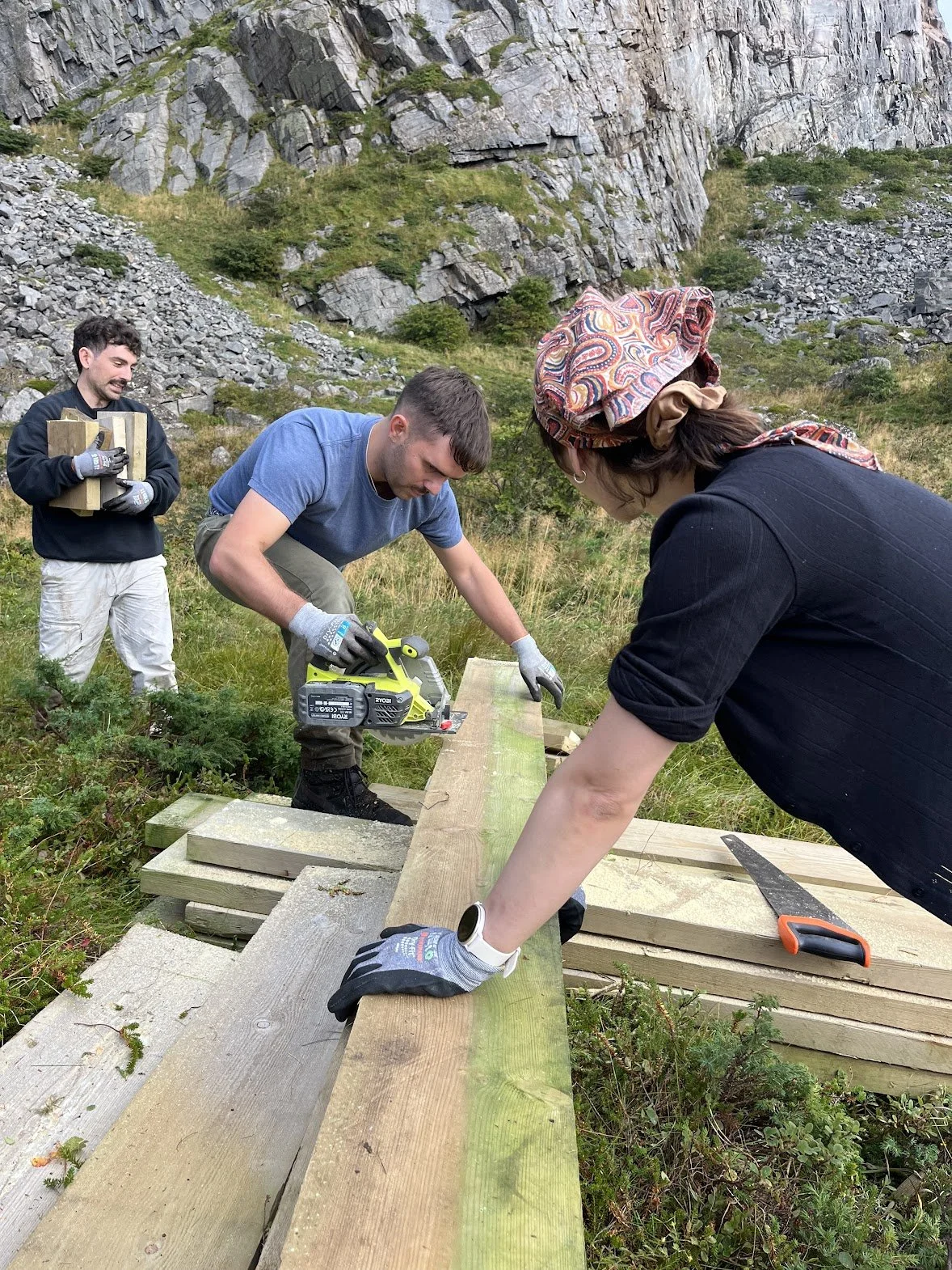 Dugnadsturisme såging  Foto Moa Björnson.jpeg