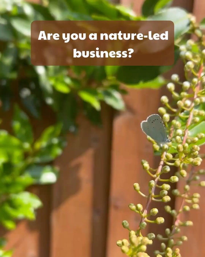 Are you a nature-led business?
 
Are you striving to make a difference through education, nature conservation, creating/selling sustainable products or by making people&rsquo;s everyday lives more meaningful and fulfilling?
 
If the answer&rsquo;s ye