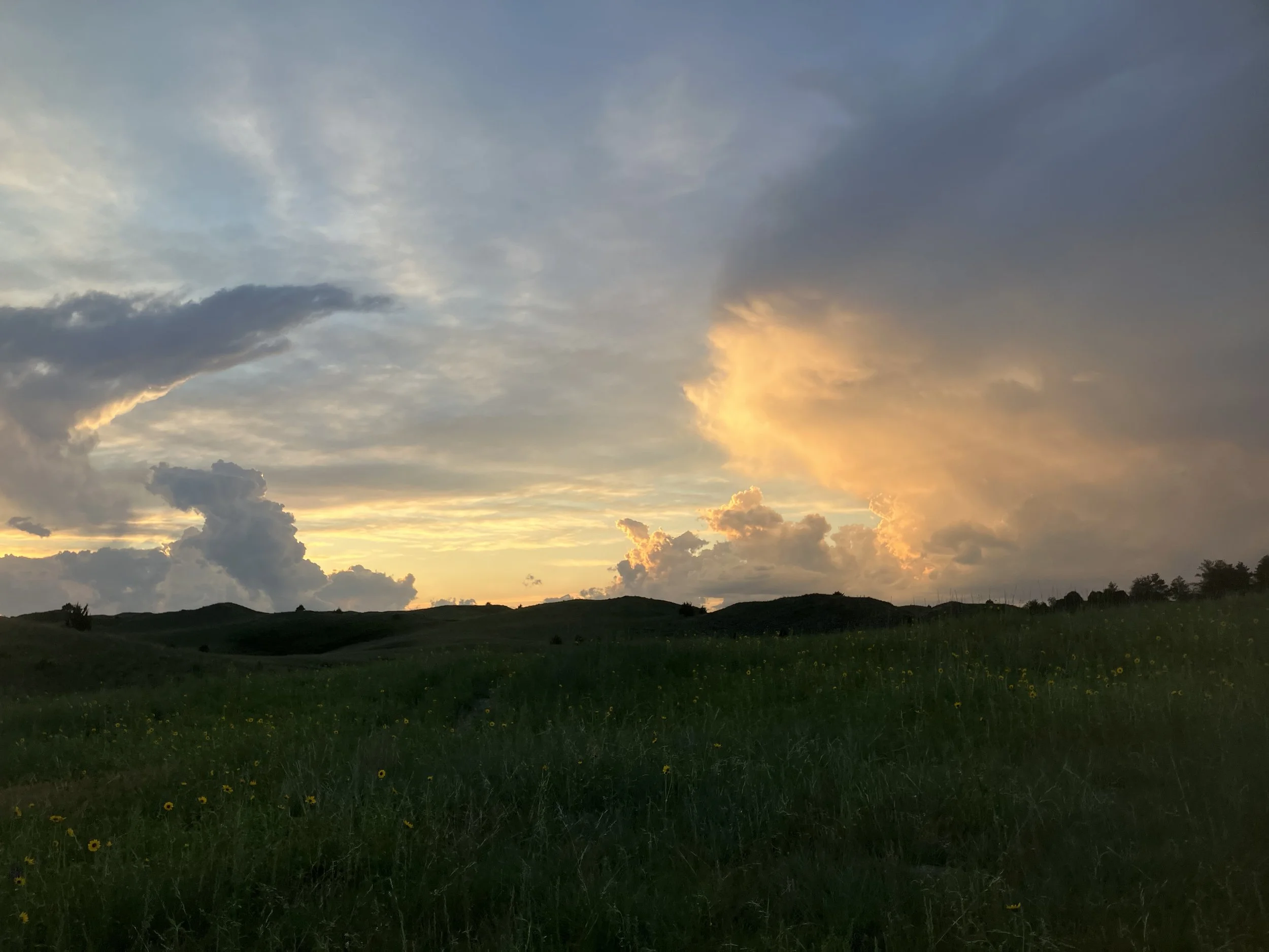 IMG_4529.jpeg