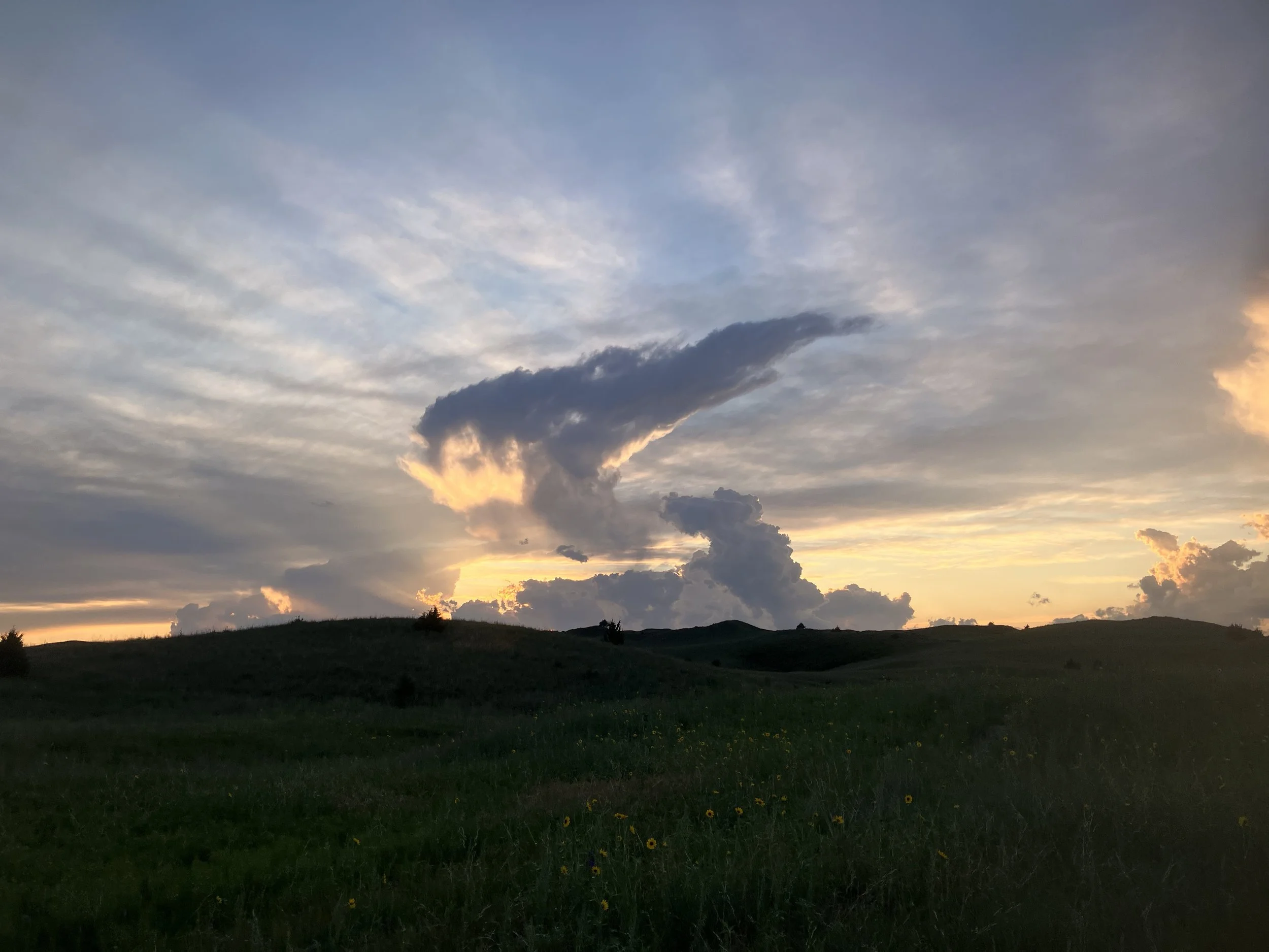 IMG_4528.jpeg
