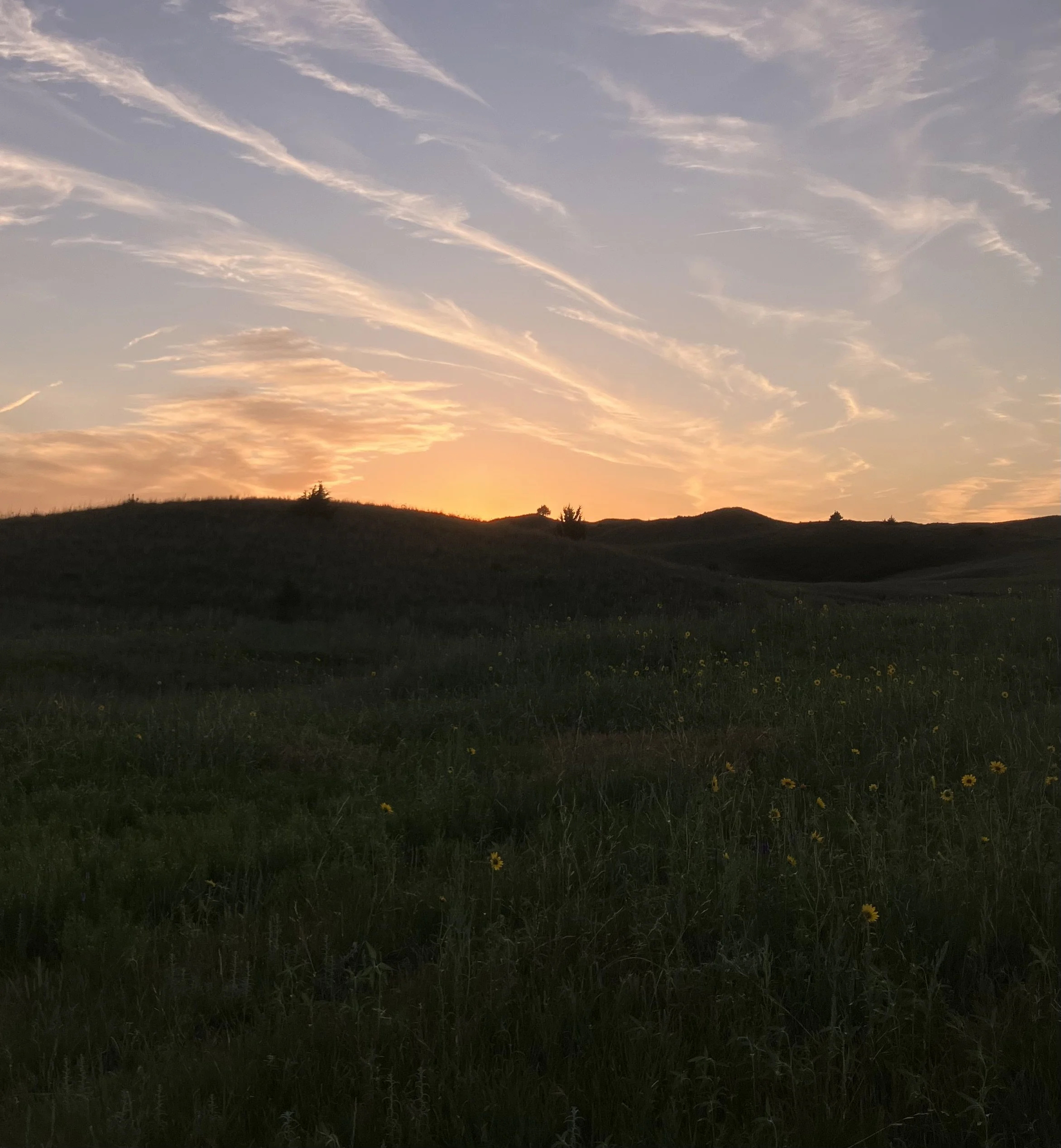 IMG_4564.jpeg