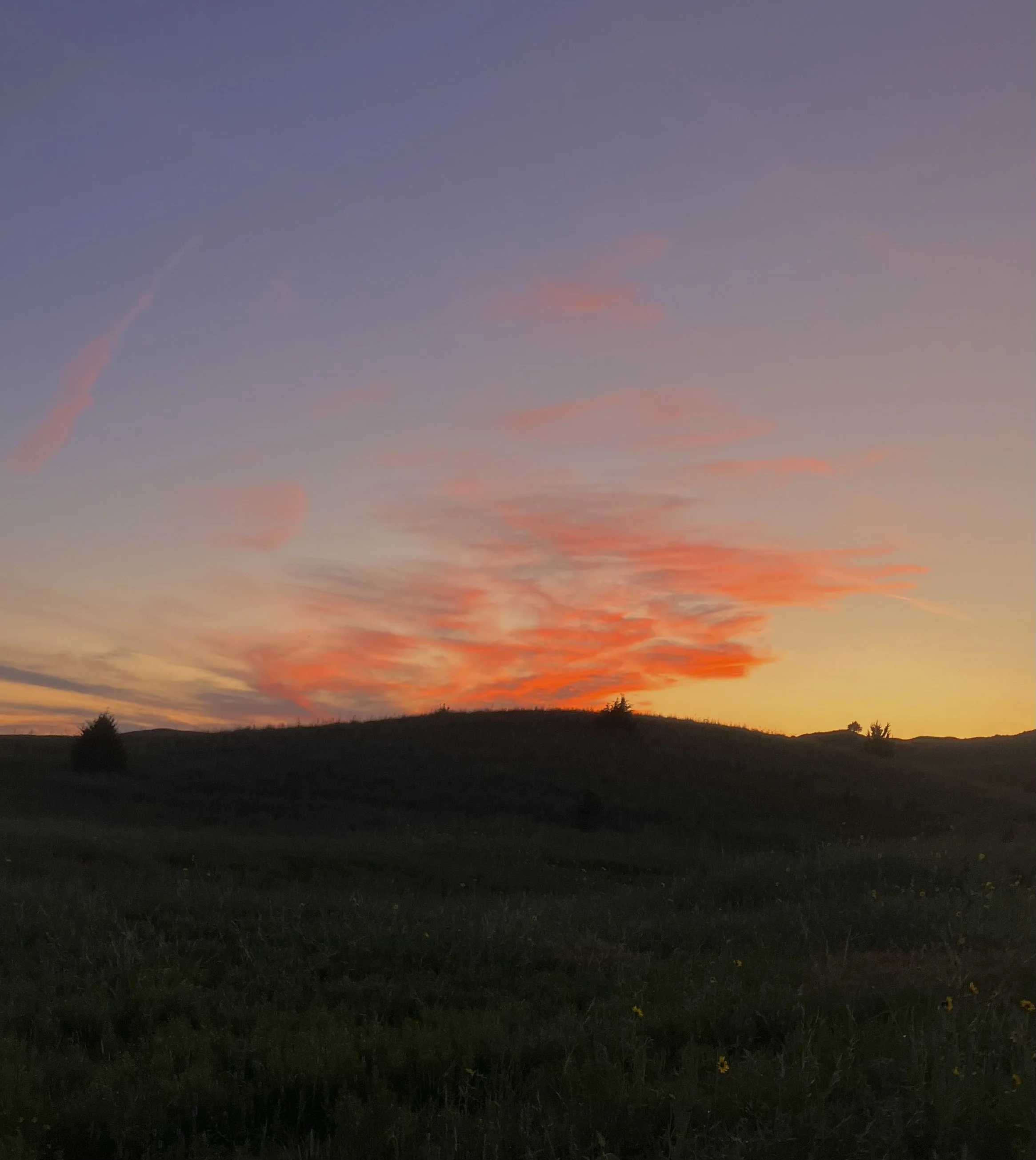 IMG_4565.jpeg