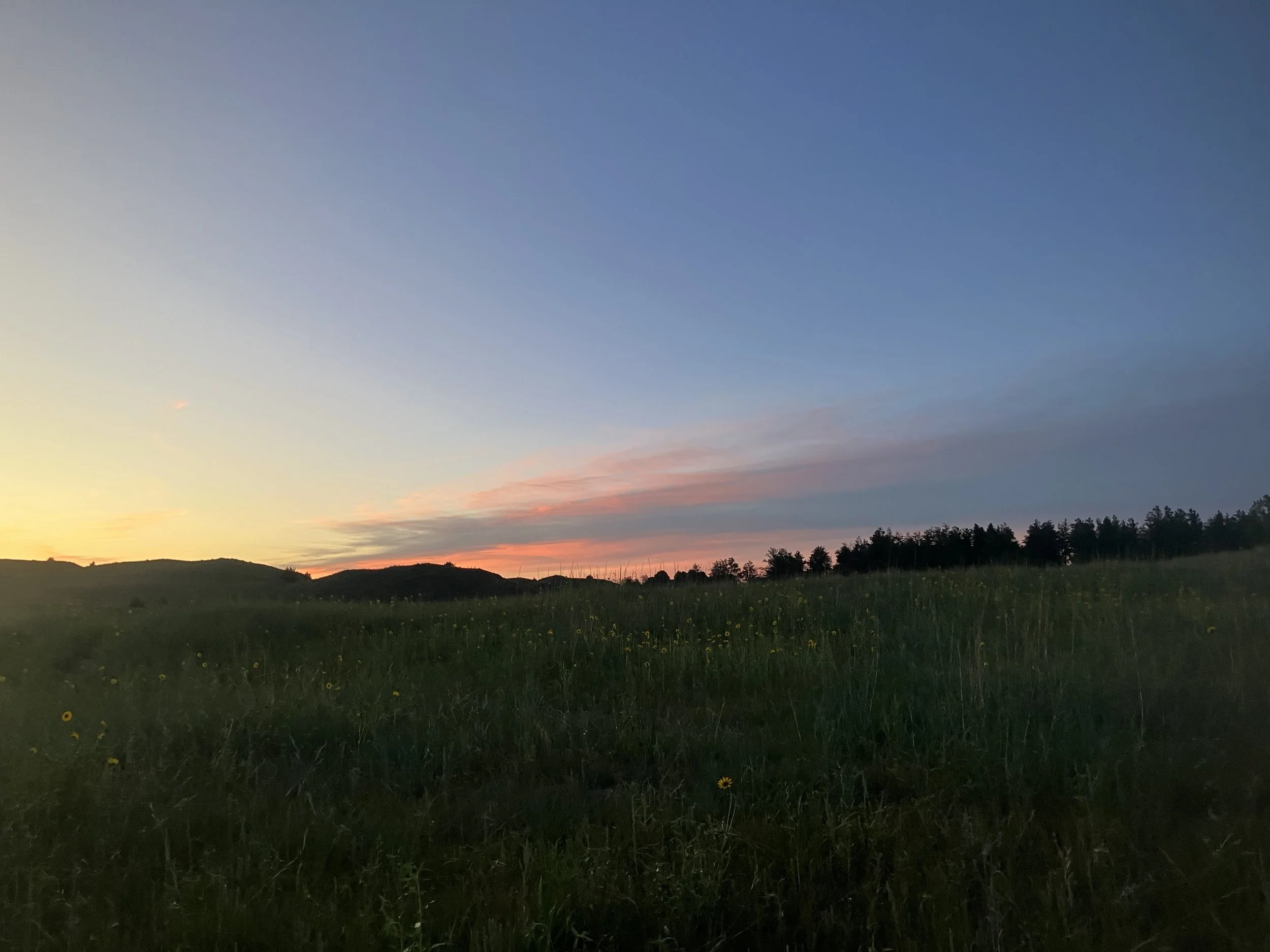 IMG_4566.jpeg