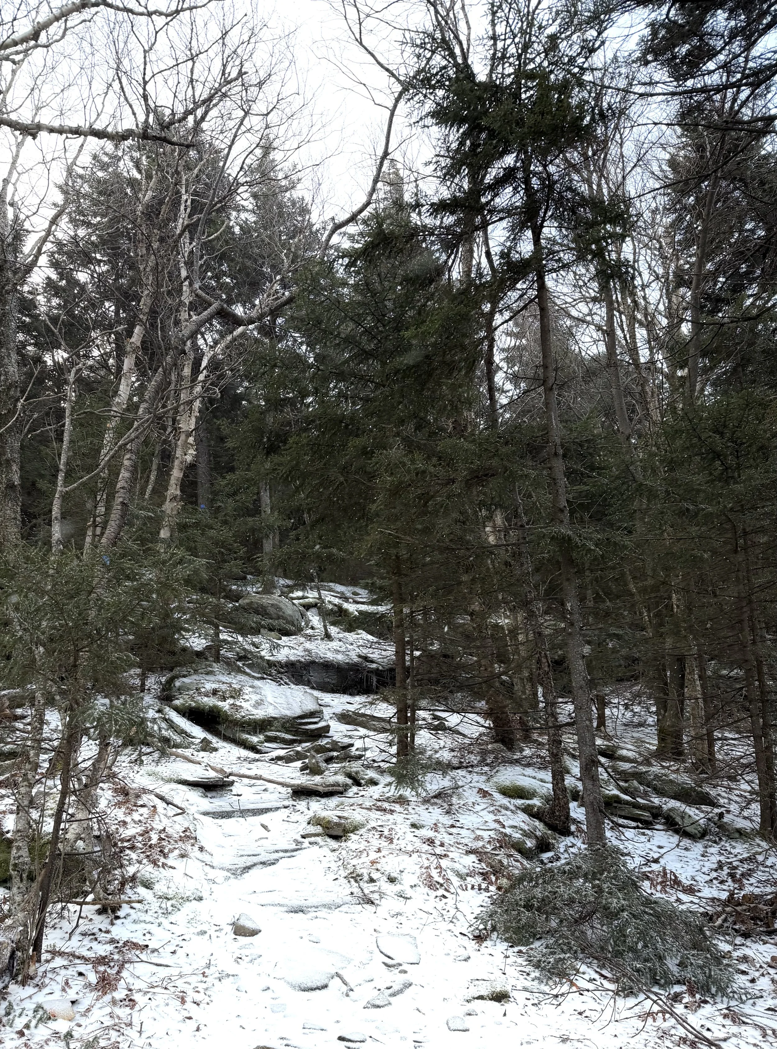 IMG_0483.jpeg