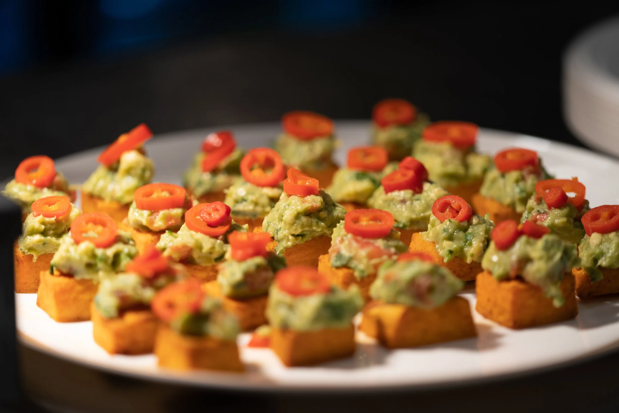 Canalot Launch Party-9.jpeg