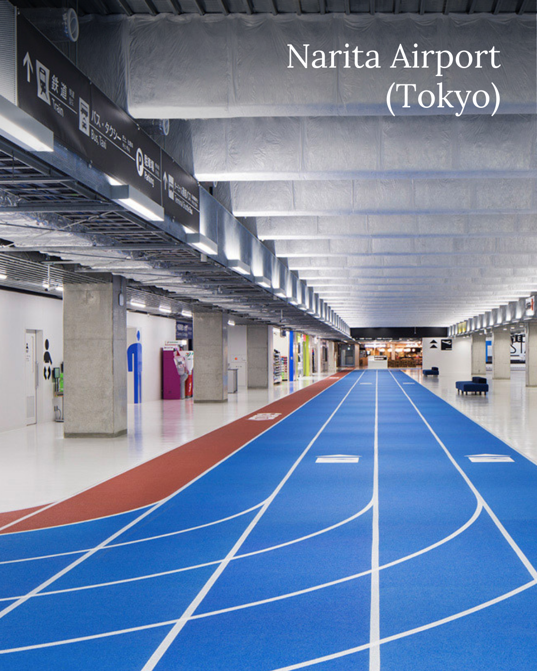 Designing with Neuroarchitectural Principles (1).png