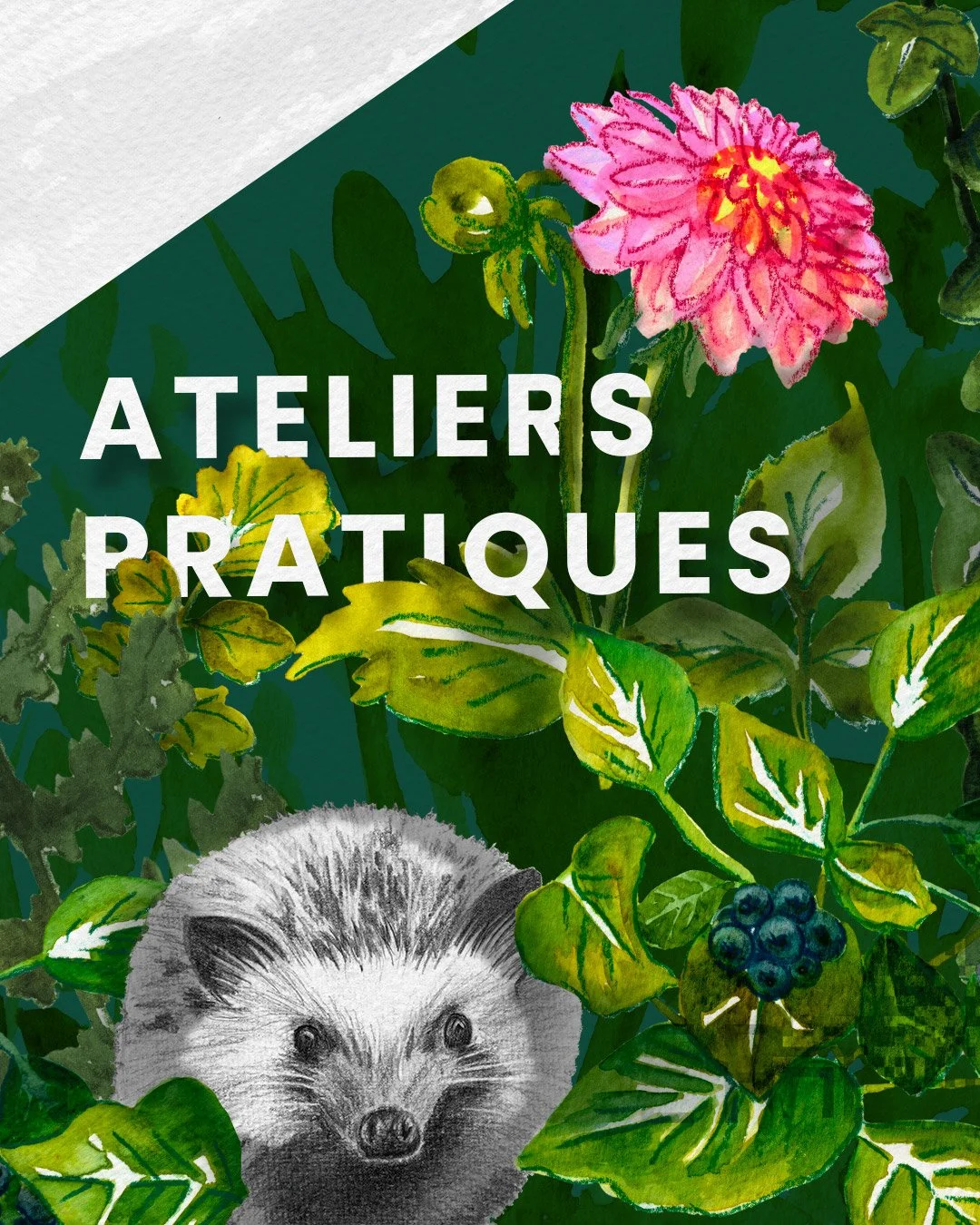 ReseauxSociaux_Festival-Durabilite_AteliersPratiques.jpg