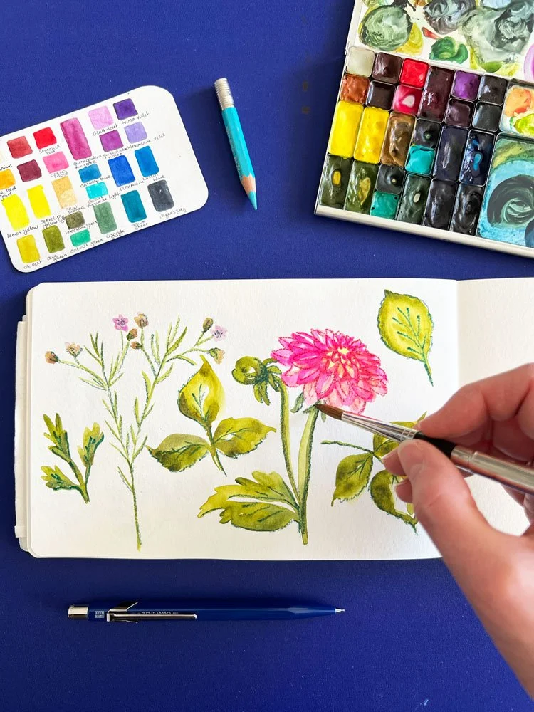 Atelier créatif: Fleurs à l’aquarelle - Adultes (à partir de 10 ans) - Après-midi