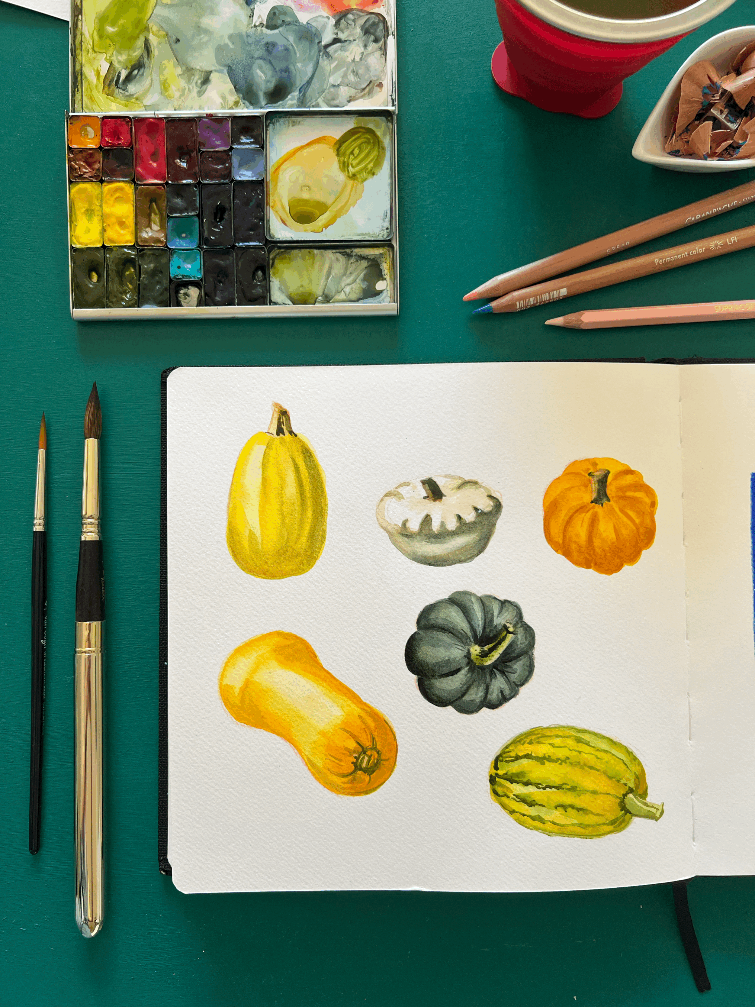 Atelier aquarelle - Courges et trésors d'automne