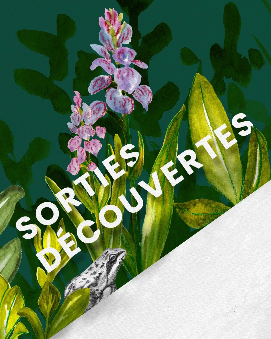 ReseauxSociaux_Festival-Durabilite_SortiesDecouvertes.jpg