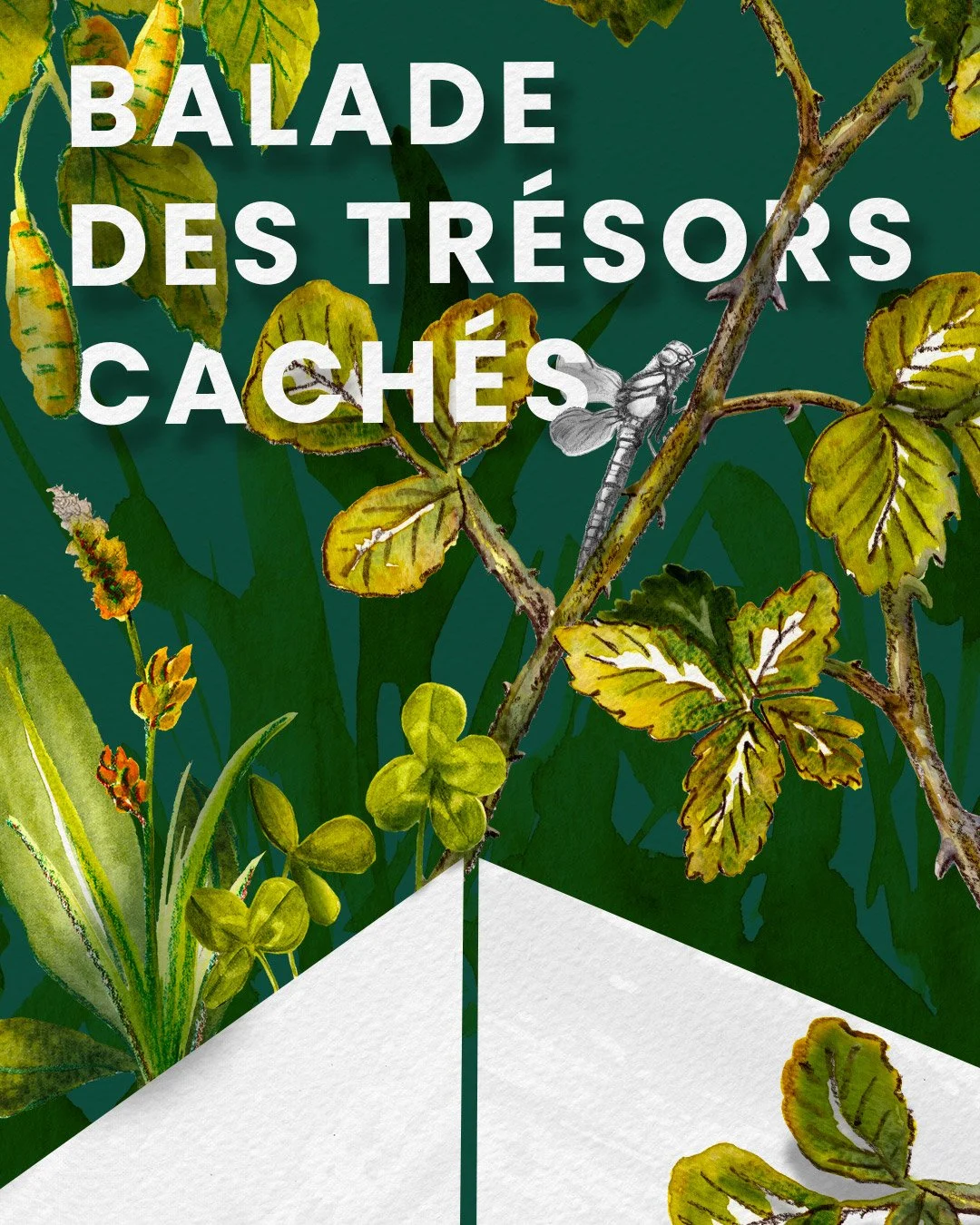 ReseauxSociaux_Festival-Durabilite_BaladeTrésorsCachés.jpg