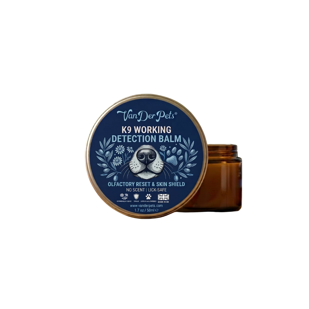OLFACTORY SHAMPOO (2).png