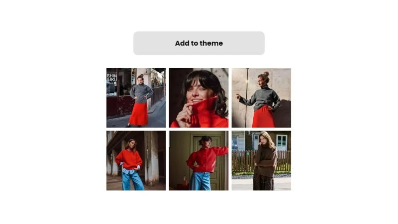 Embed Instagram feed on Shopify theme