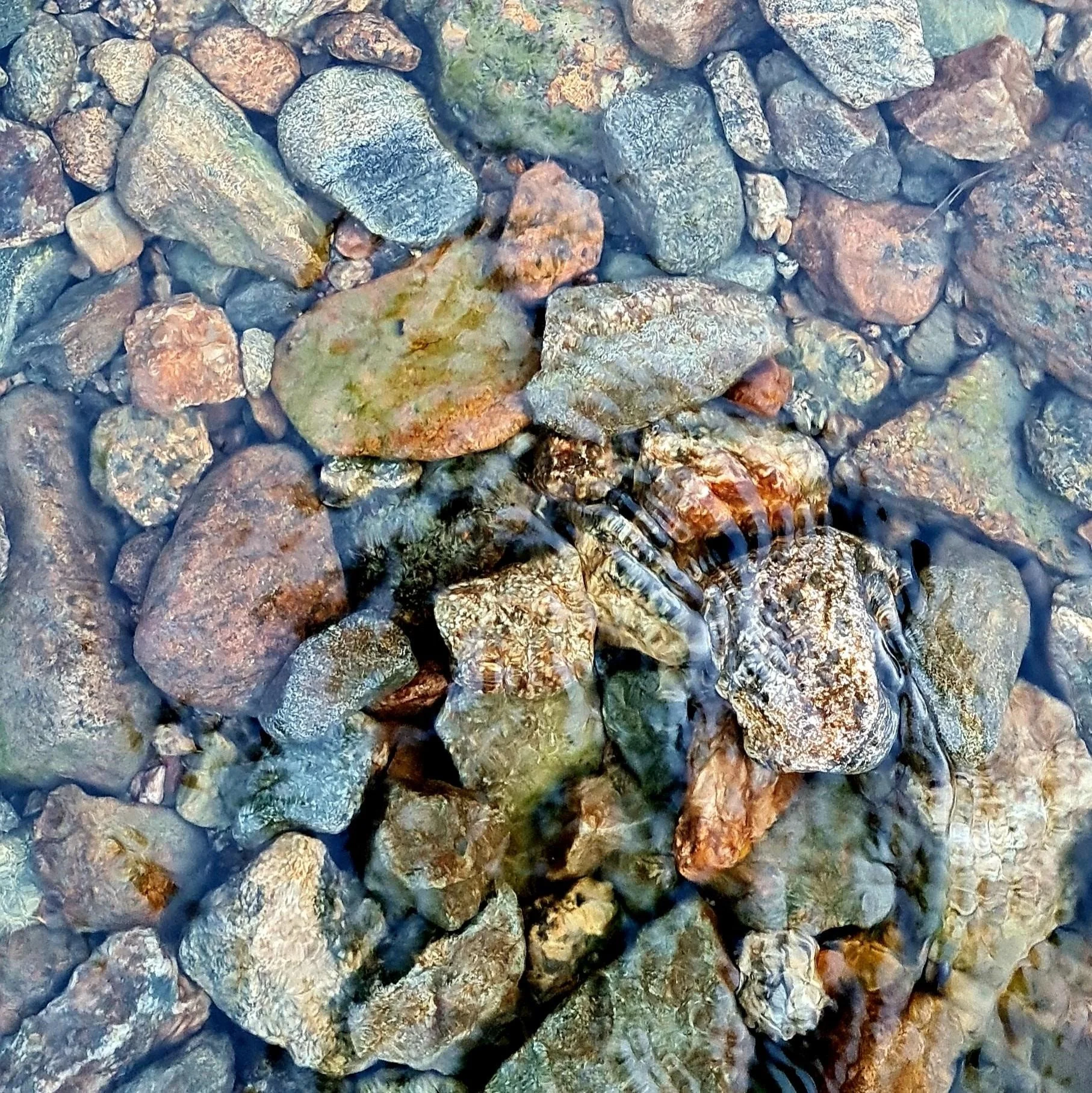 103.jpg