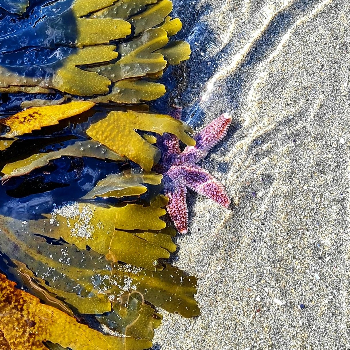 Sea2.jpg