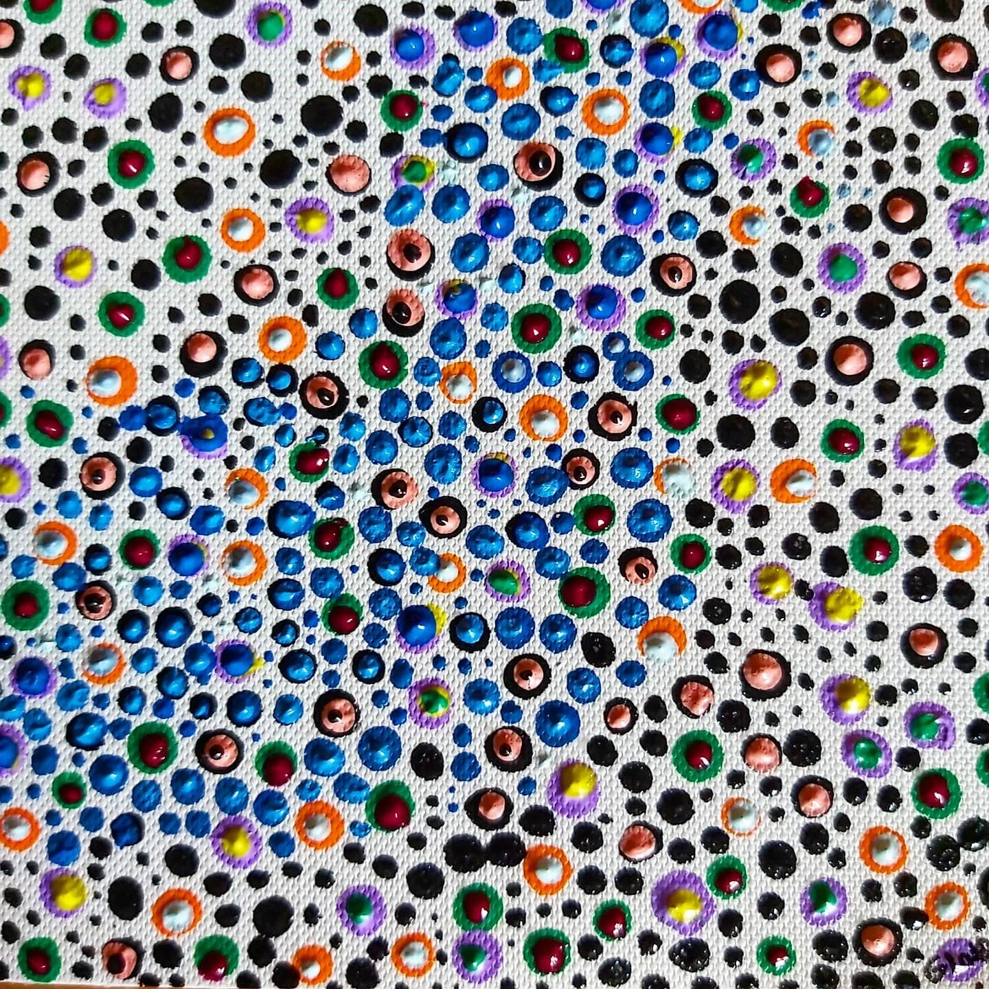 The salmon river.jpg