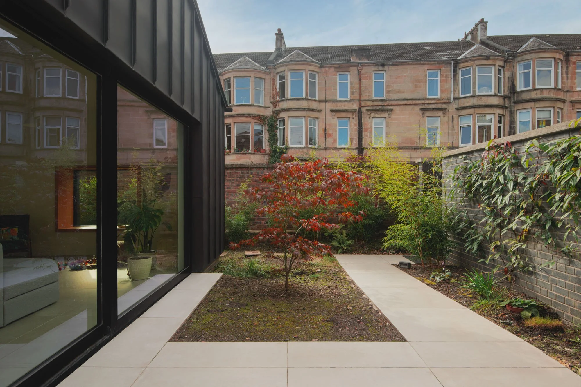 daniel bär architect | extension langside | glasgow | back garden with japanese maple 