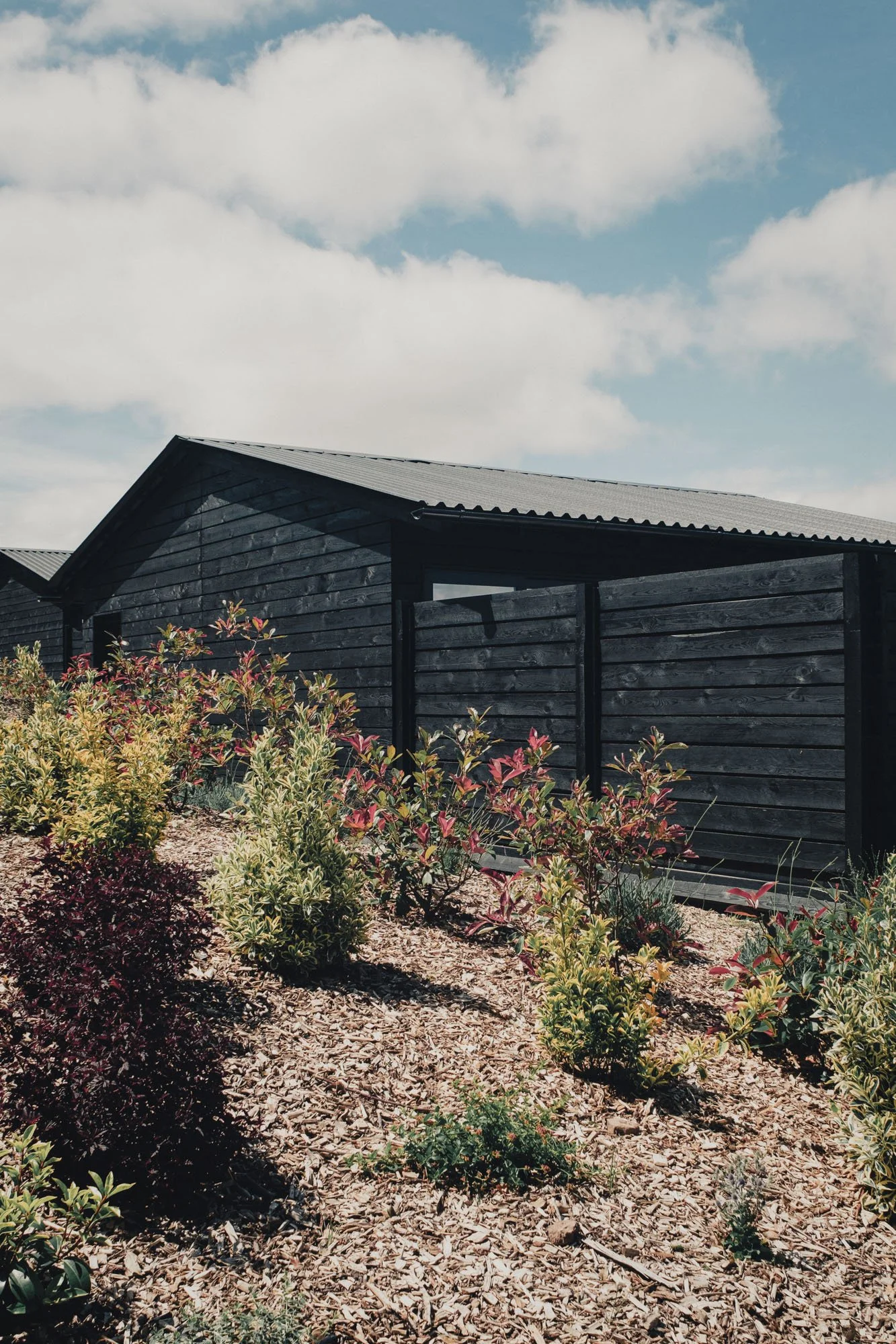 daniel bär architect | scenic herefordshire | orcop hill | front garden