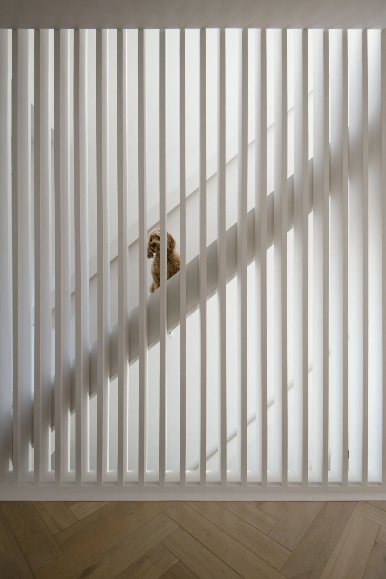 daniel bär architect | fettes rise | edinburgh | stairs