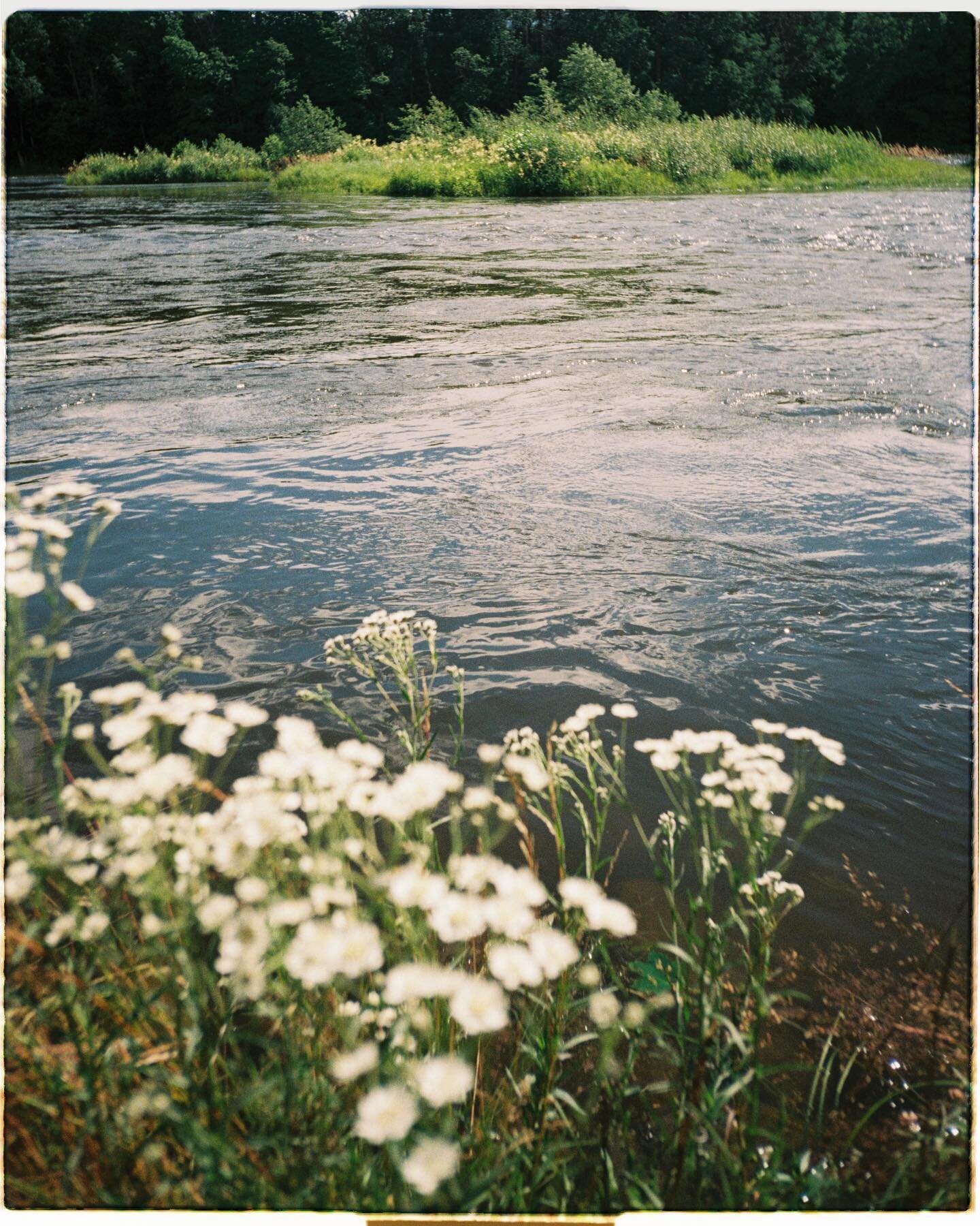 once upon a summer day