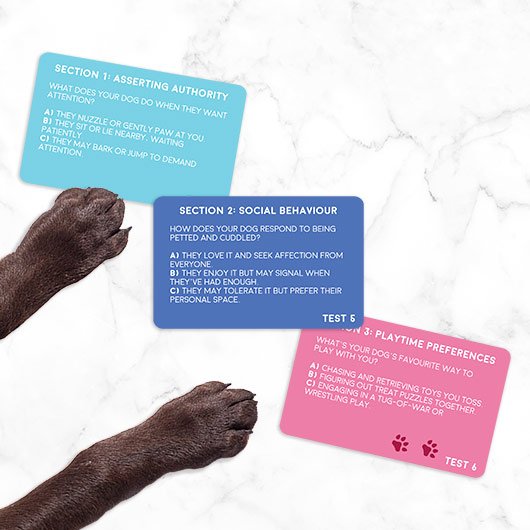 dog-personality-test-rollover3.jpg
