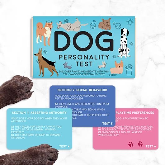 dog-personality-test-rollover1.jpg