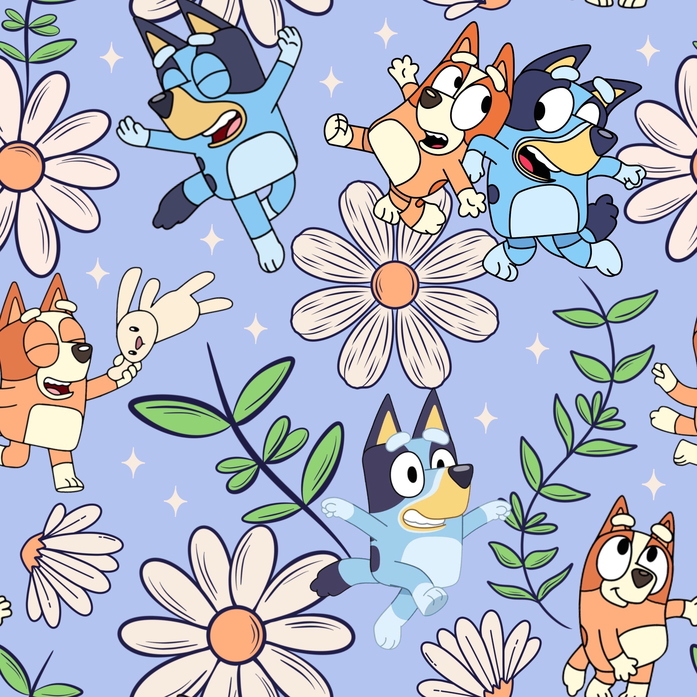 3209 SPRING BLUEY.jpg
