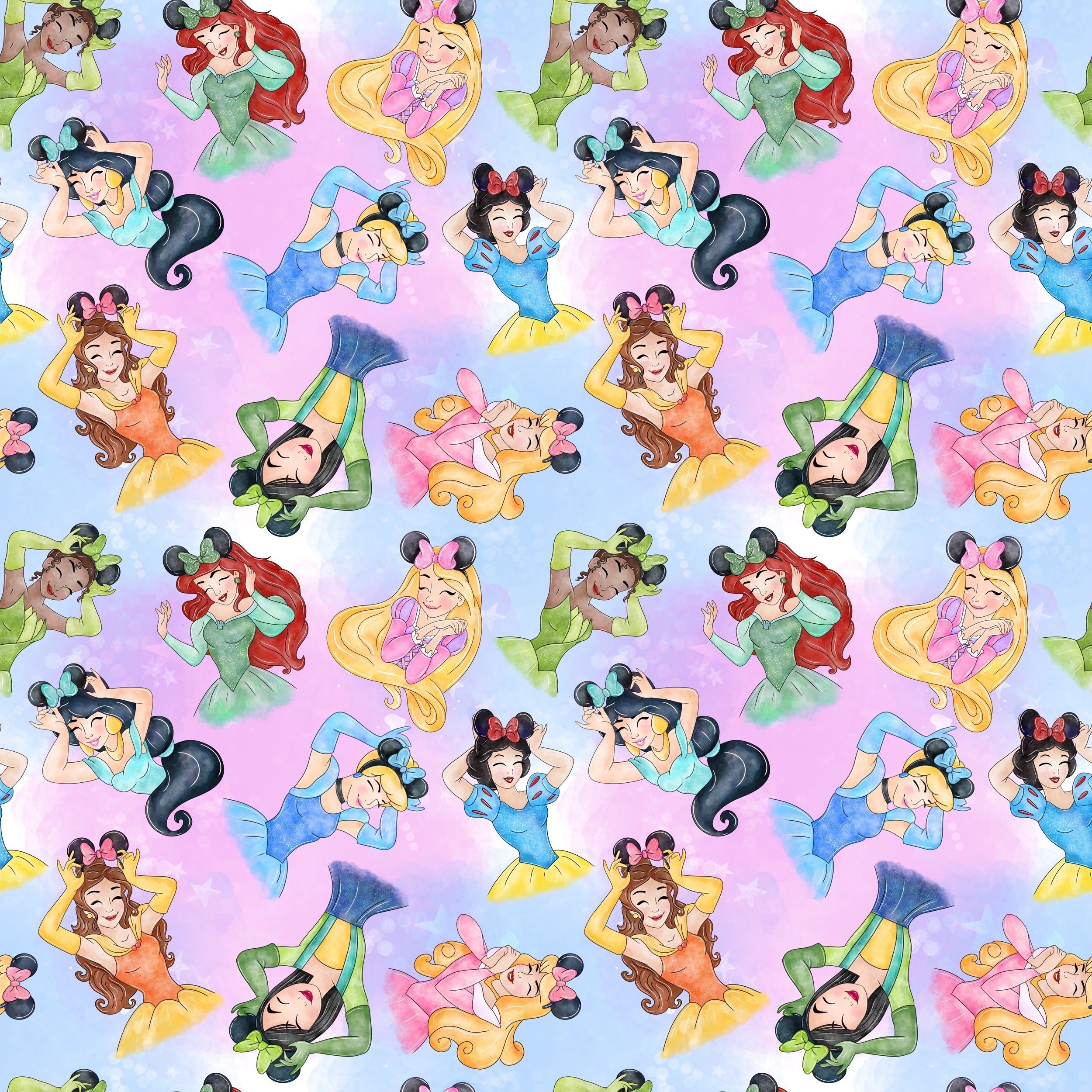 3087 DISNEY PRINCESSES.jpg