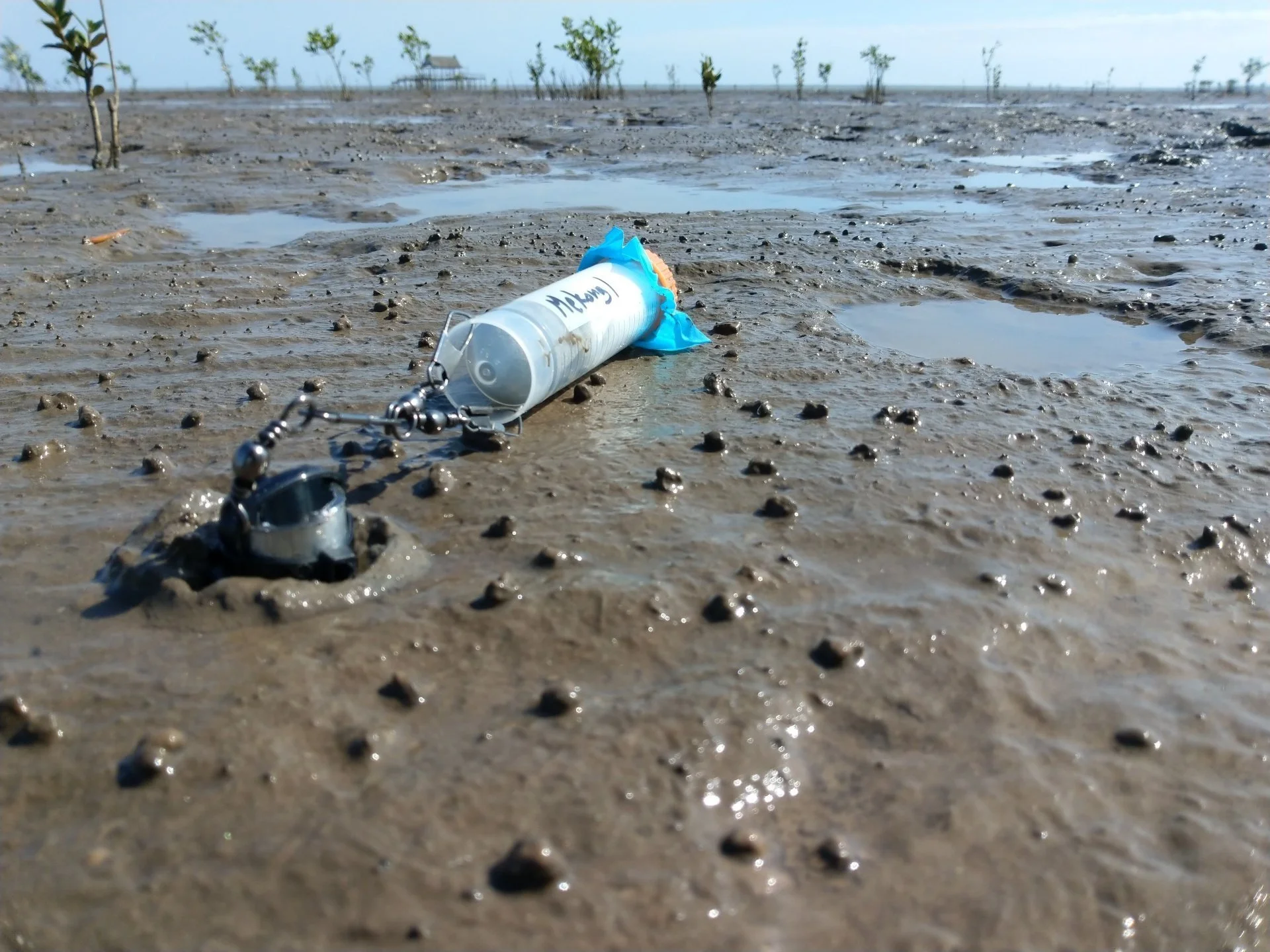 Inexpensive & open-source sensors could dramatically improve the success of mangrove plantation schemes.