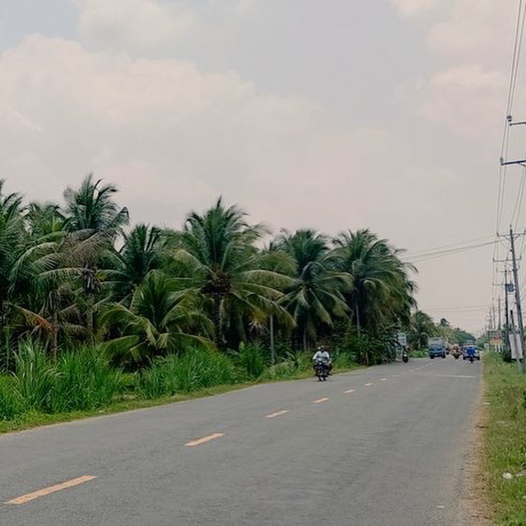 Local communities in the #MekongDelta tell us about the benefits of growing #coconuts - a common crop. Orchard #ecosystems while providing key #EcosystemServices display synergies with several other ESs. Exciting insights ahead! 🌴🍉🌳