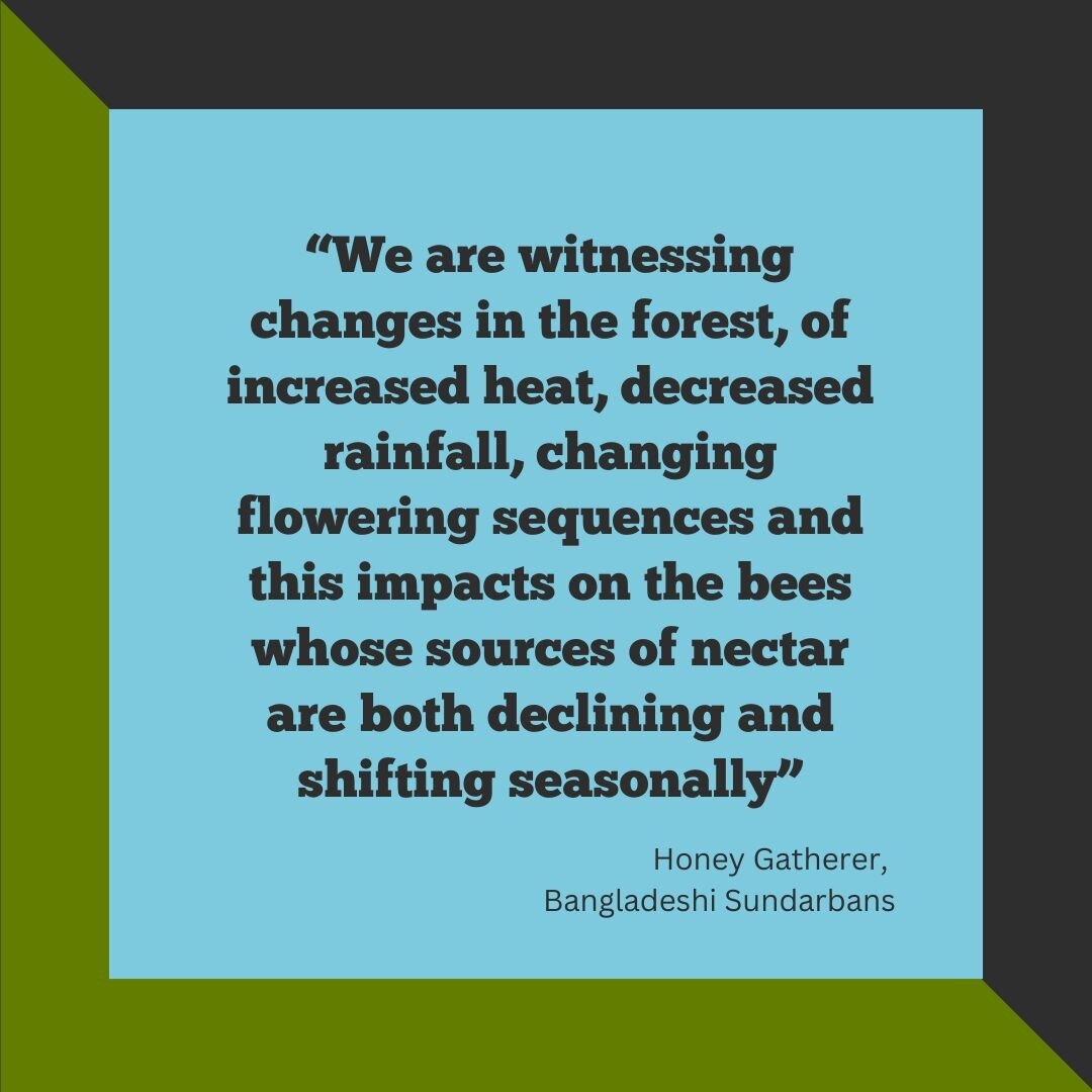 Forest are vitally important within delta regions.
 
Whilst these quotes from different deltas all highlight changes in the local forest areas, including seasonality change to flowering time of trees, temperature change (forests are perceived as drie