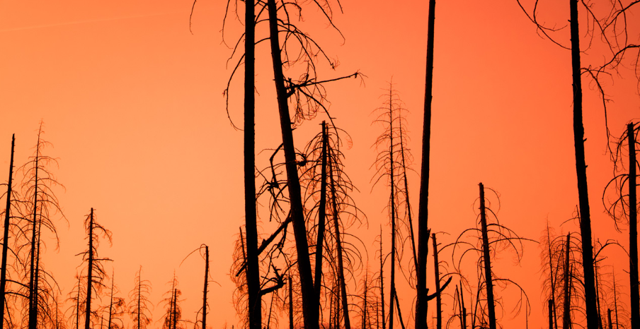 Our Changing Climate: Reports from the front line