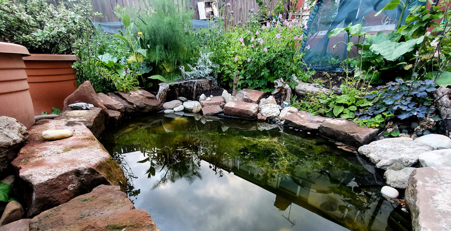 A Different Kind of Garden
