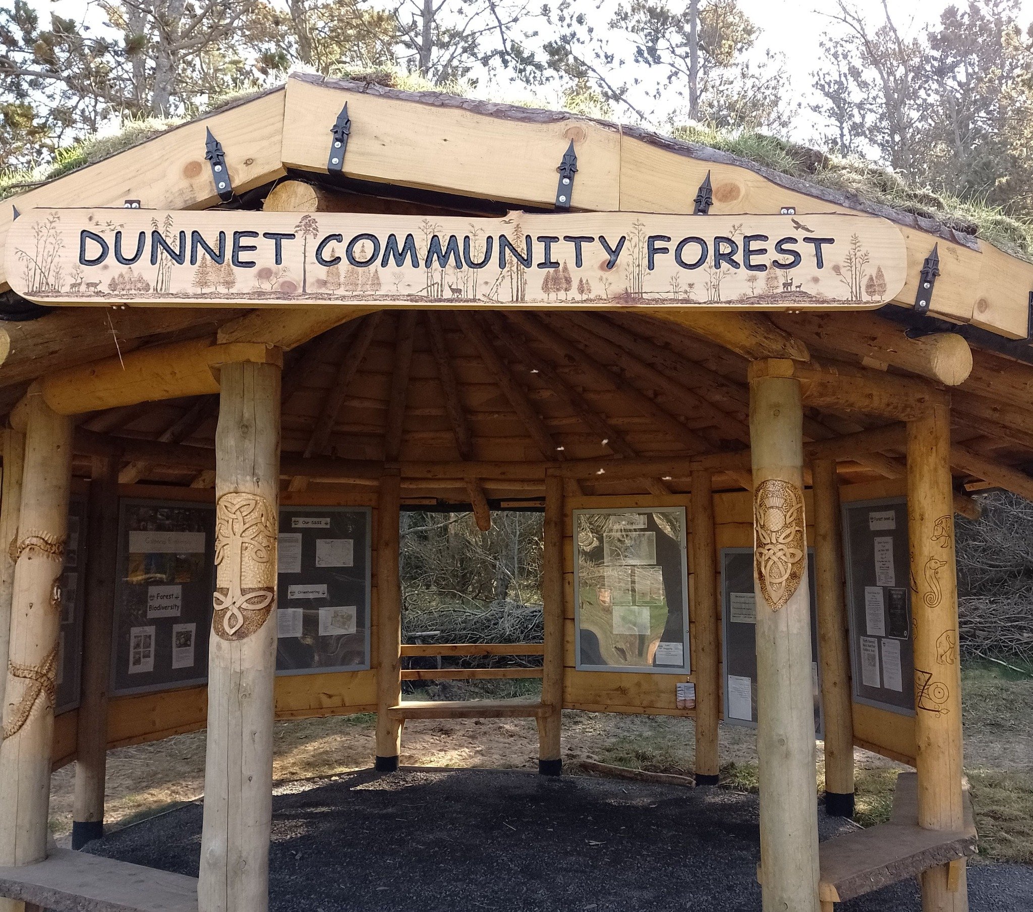 Dunnet Forest pic.jpg