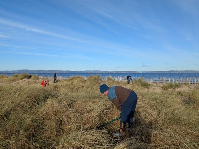 Nairn Dunes Restoration Case Study