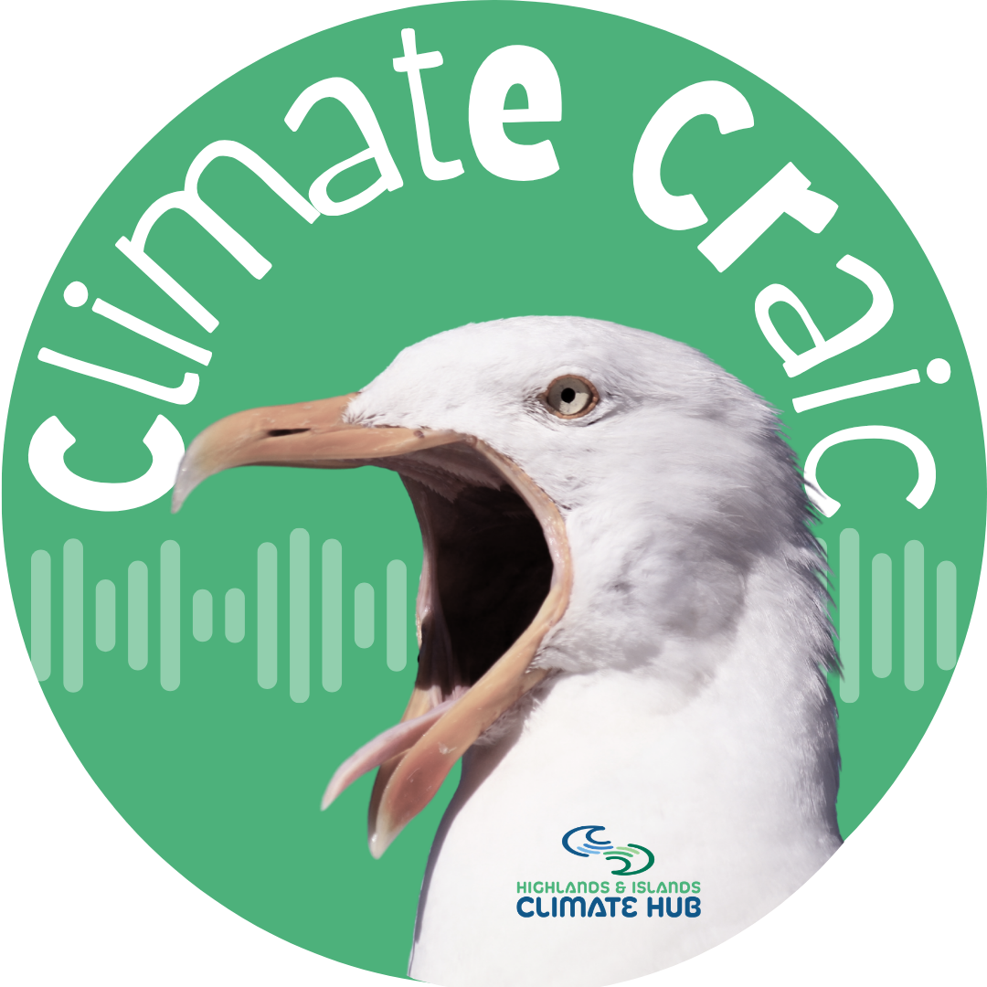 A logo including text that reads 'Climate Craic' with an image of a seagull that looks like it's talking and soft soundwaves in the background