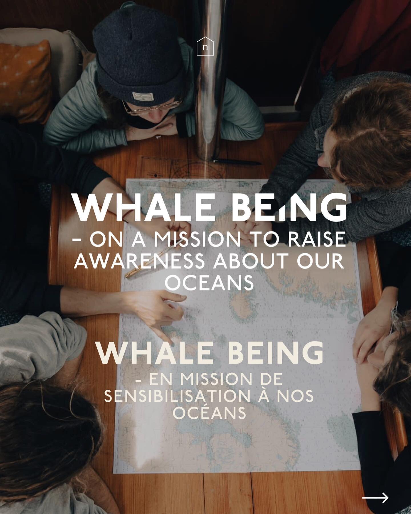 Discover our new interview with marine biologist Laetitia Michell, a Luxembourger about to set sail as part of Whale Being, a new sailing mission by Arvik Ocean dedicated to raising awareness about the impact of human activities on marine life 🌊🐋 
