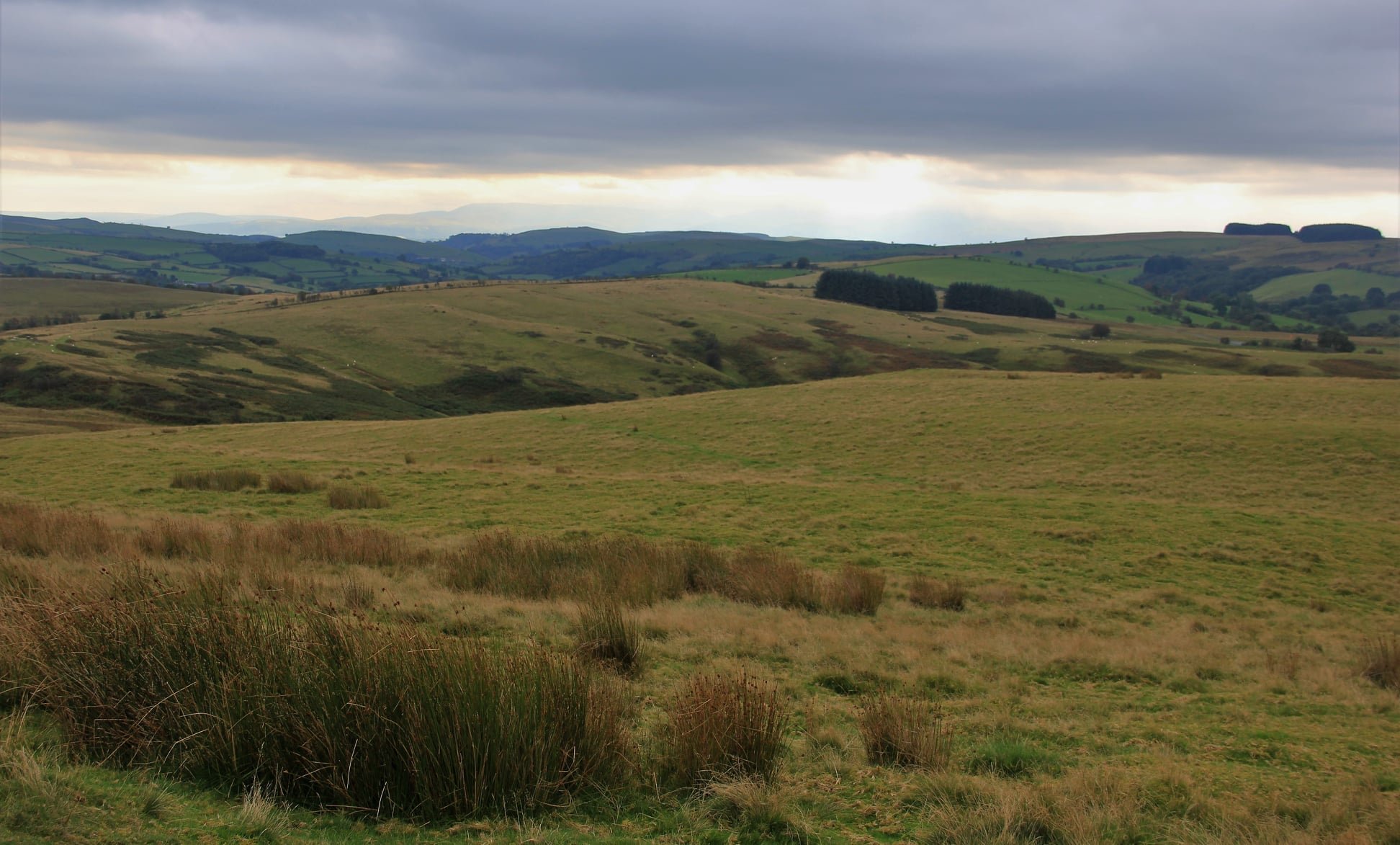 Visitor Centre — The Epynt Way Association