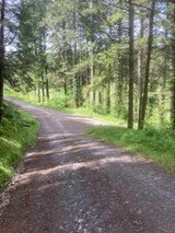Crychan Forest