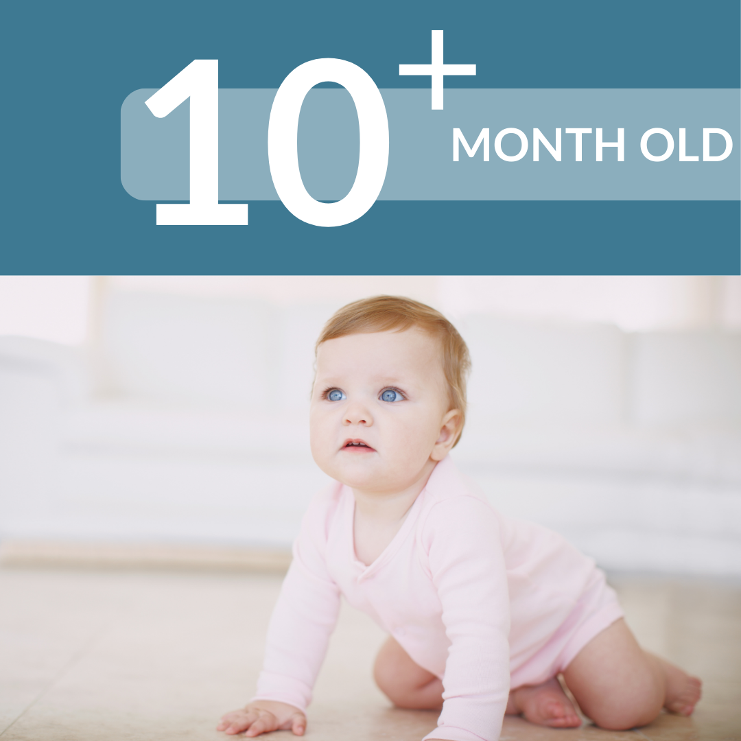 10+ MONTH SLEEP SCHEDULE