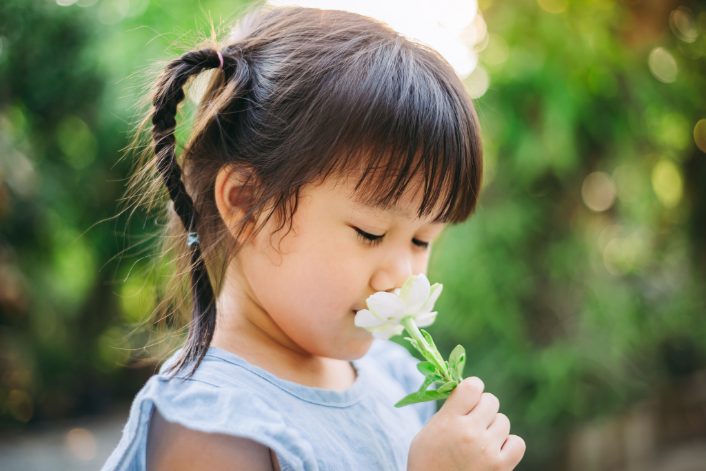 A young girl smells a spring daisy. She has pigtail braids and bangs.